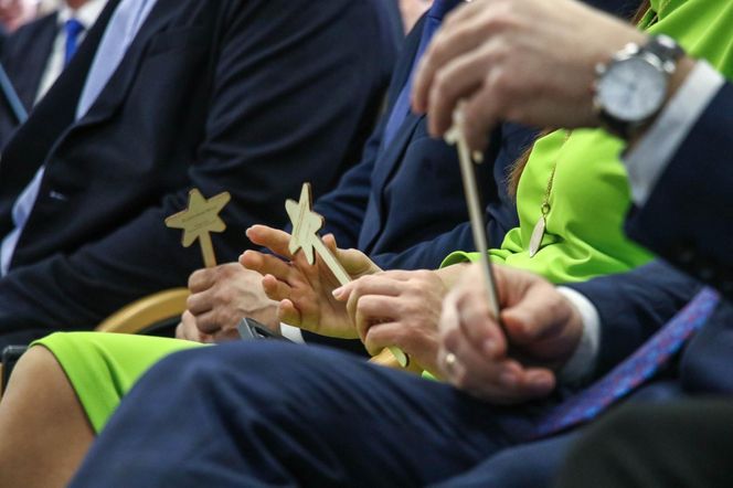 Wojewoda i różdżki.