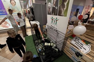 Akcja adopcyjna Fundacji Dobre Ludki w Grudziądzu