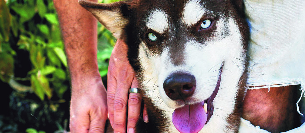 Zniknął w NYC, odnalazł się na Florydzie
