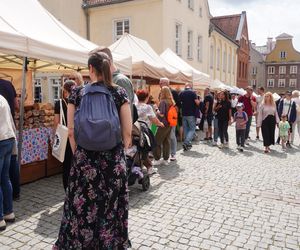 Dni Olsztyna 2025. Dziesiątki wystawców i setki olsztynian na Jarmarku Jakubowym