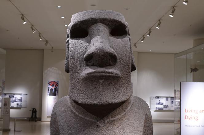 Macie naszą duszę. Wyspa Wielkanocna prosi o oddanie posągów moai