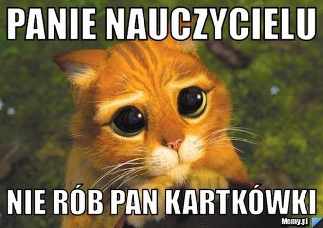 Dzień Edukacji Narodowej. Sprawdź najlepsze memy o nauczycielach na Dzień Nauczyciela! 