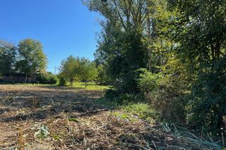 Ania wysiadła z PKS i zginęła straszną śmiercią. Ludzie we wsi: Piersi jej poodrzynał