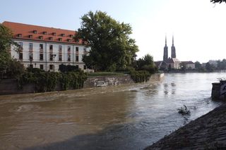 Wrocław. Fala w centrum miasta.