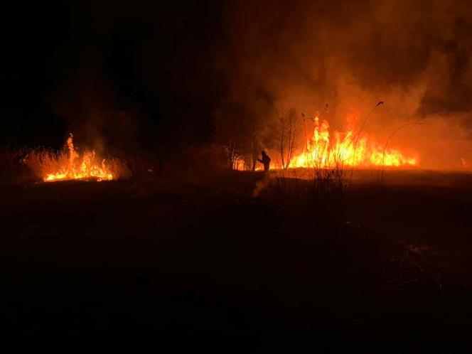 INFERNO w Żabnie! Sześć jednostek straży pożarnej walczyło z płomieniami
