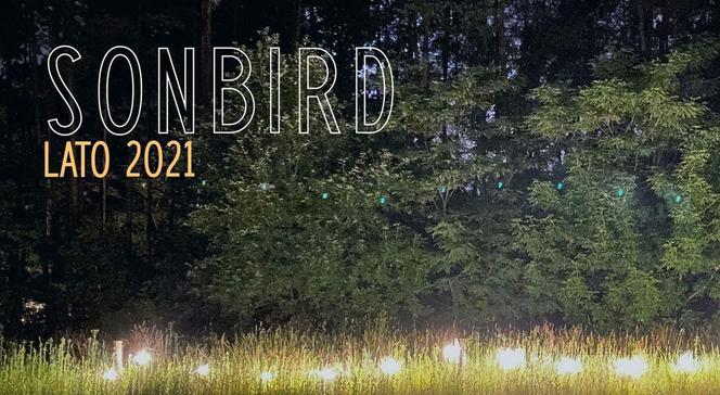 Zespół SonBird będzie w Pile świętował swoje 10-lecie