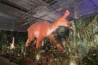 Wystawa dinozaurów Jurassic Adventure w Warszawie. To wyjątkowa atrakcja dla rodzin