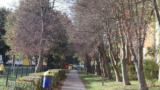 Nowa pora roku już jest w mieście. Lublin przybrał już jesienne barwy. Zobaczcie!