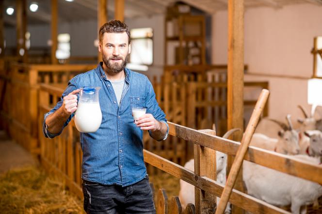 Mleko kozie - właściwości i wartości odżywcze
