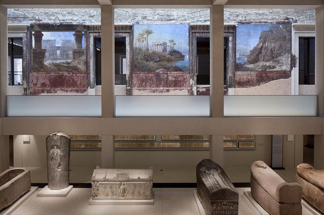 Neues Museum, ekspozycja