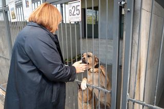 Milion złotych w projekcie „Nasze zwierzaki” przyznany