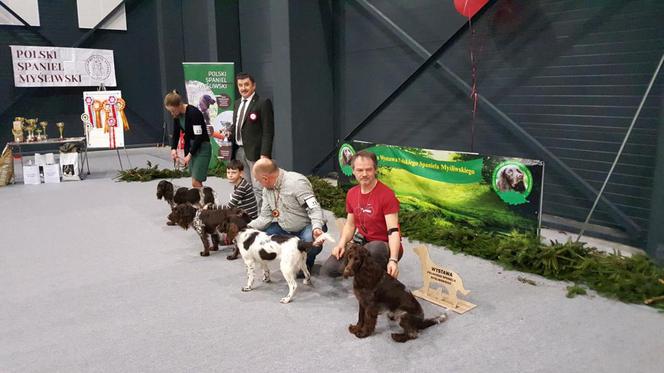 Tysiące psów i odwiedzających. II Międzynarodowa wystawa Psów Rasowych odbyła się w Bydgoszczy
