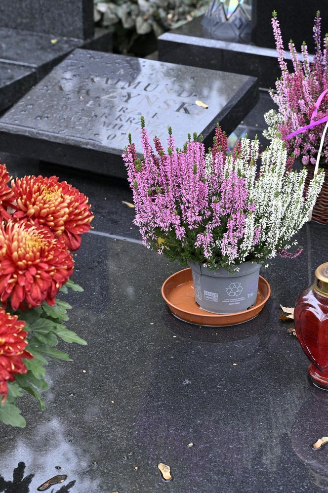 Grób rodziców Jarosława  Kaczyńskiego