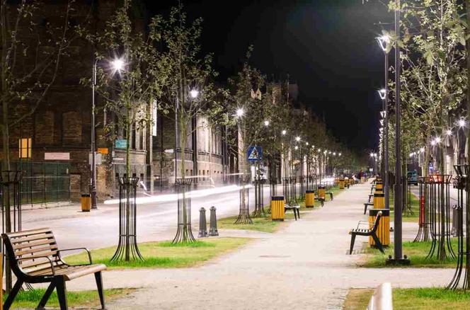 Rewitalizacja Dolnego Miasta w Gdańsku, Skanska S.A.