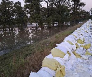 Walka z powodzią NA ŻYWO. Fala kulminacyjna przechodzi przez województwo lubuskie 