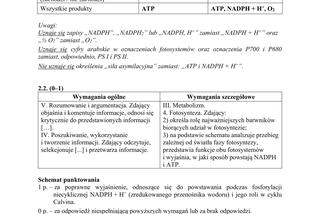 Matura 2019 z biologii [ARKUSZE CKE, ODPOWIEDZI]