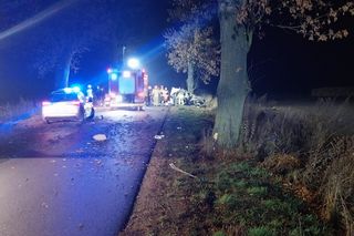 Śmiertelny wypadek pod Łęczycą. 21-latek uderzył w drzewo.