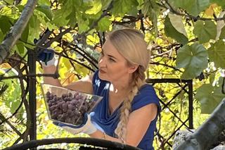 Marta Wcisło. Z Brukseli na winogronowe żniwa