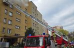 Bohaterska postawa strażaków z Krakowa. Uratowali zwierzęta z płonącego mieszkania