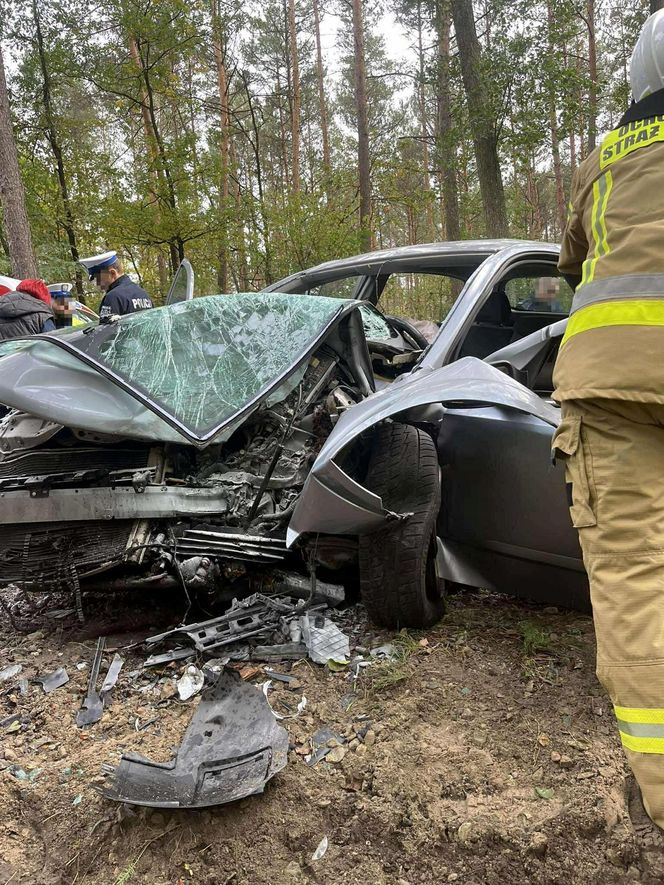 Kierowca uderzył oplem w drzewo, nie przeżył. Policja szuka sprawcy