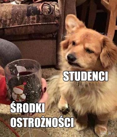 17 listopada. Dzień Studenta. Zobacz najśmieszniejsze MEMY!