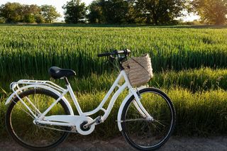 Nowa trasa rowerowa z Olsztyna już niebawem. Poprowadzi przez malownicze tereny