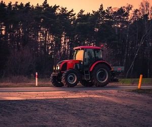 Co się opłaca uprawiać, lub hodować w 2025 roku?