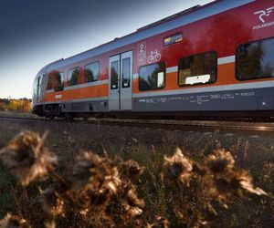 Tego dnia dzieci z woj. pomorskiego jeżdżą bezpłatnie pociągami. Specjalna akcja Polregio