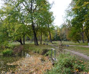 Park Lubomirskich w Białymstoku jesienią 