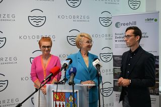 Cyfrowa inwentaryzacja drzew w Kołobrzegu