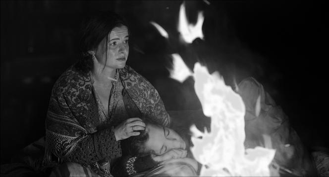 KRZYSZTOF KRAUZE, PAPUSZA