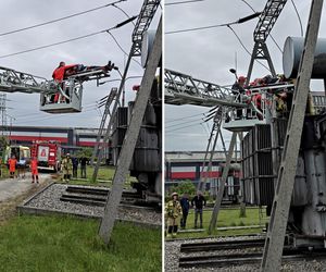 Mężczyzna zasłabł na szczycie transformatora! Na miejsce wezwano ratowników wysokościowych [ZDJĘCIA]