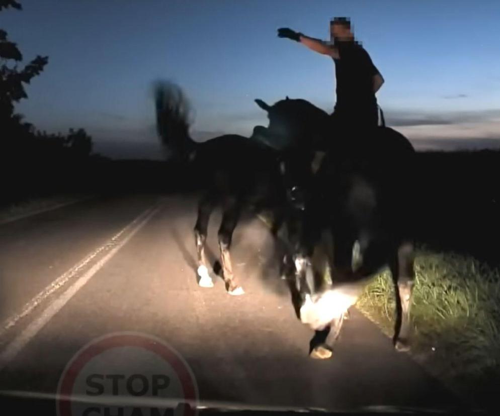 Wyłoniły się nagle z ciemności. Kierowca pokazał nagranie 