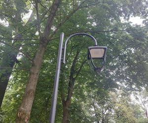 Park im. Szafera w Rzeszowie 