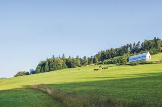 Arka - dom własny Roberta Koniecznego