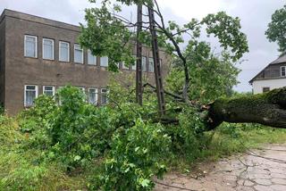 Wichura i ulewy w Podlaskiem. 15 tys. odbiorców bez prądu [ZDJĘCIA]