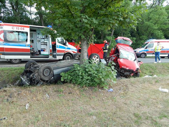 Borucinek w gminie Osięciny niedaleko Radziejowa to wieś jakich tysiące w Polsce. Przez nią przebiega droga  krajowa numer 62