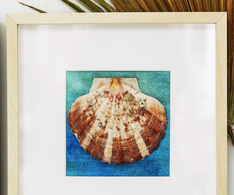 DIY: obrazek 3d z muszlą – marynistyczna dekoracja