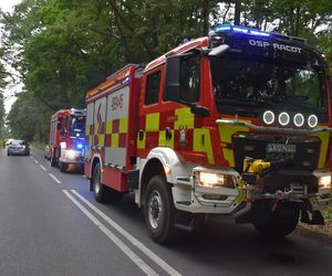 Wypadek koło Gryżyny