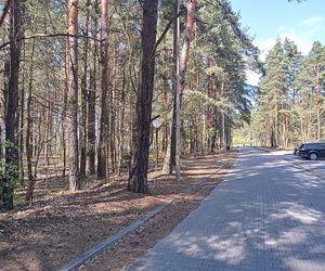 Rejów