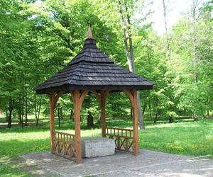 Tędy w woj. lubelskim przeszła jedna z plag egipskich. Takiego pomnika nie ma nigdzie indziej