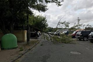 Wichura przeszła przez nasz region. Ponad 600 interwencji strażaków! [ZDJĘCIA]