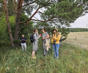 Akcja na polu, gdzie znaleziono Wampirkę z Pnia. Młodzi chodzili z detektorami, niedługo wracają tam archeolodzy