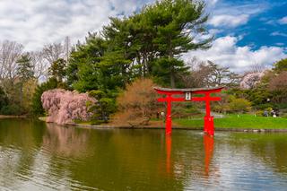 Wieżowce zasłonią ogród?