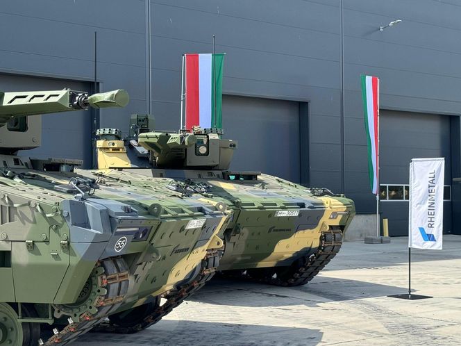 Bojowy wóz piechoty KF41 Lynx