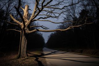 Strzelanina w Wielkopolsce. Właściciel rusznikarni podejrzany, co ujawni śledztwo?