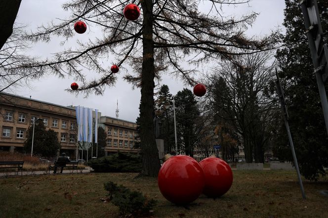 Świąteczna atmosfera zapanowała na UMCS-ie w Lublinie