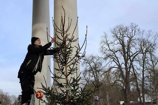Udekorowana choinka stanęła na środku rzeki w Kaliszu