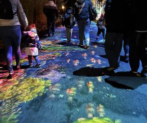 Garden of Lights we Wrocławiu