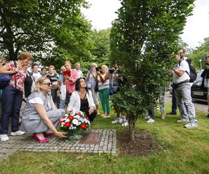 Festiwal im. Pawła Królikowskiego